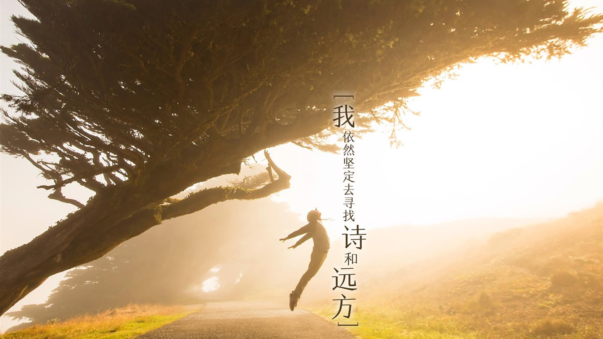 全国少年棒球联赛广东获大满贯，少年棒球比赛视频